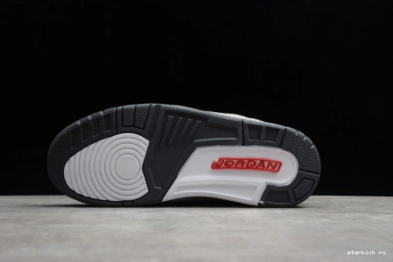 Retro (2021) Cool AIR CT8532-012 Jordan Grey 3 CT8532-012 1006